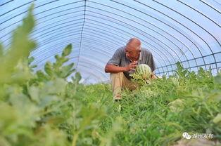 吃瓜湖州,探寻这座江南水乡的美食与风情