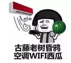 给我放个吃瓜,一场吃瓜盛宴背后的真相