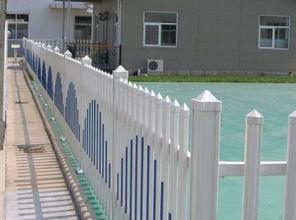 吃瓜体育生围栏,揭秘吃瓜群众的体育盛宴