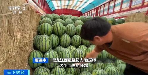 临朐大型吃瓜店