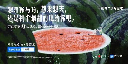 赏花吃瓜文案句子,尽享田园诗意时光