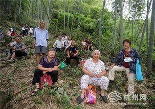 溪边吃瓜心愿,悠然食愿