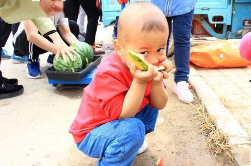 吃瓜山东姐弟,揭秘网络红人的成长之路