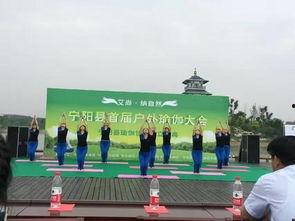 吃瓜协会宁阳,揭秘瓜界风云，品味生活百态