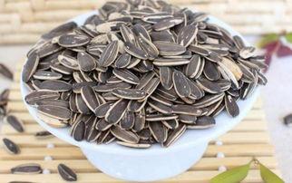 吃瓜群众大袋瓜子,吃瓜群众大袋瓜子的欢乐时光