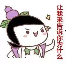 刘兰器嗖 吃瓜.我爱你,一场甜蜜的“我爱你”互动