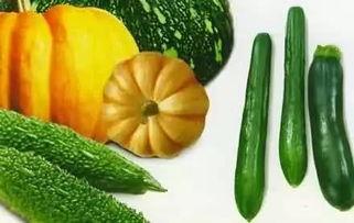 吃瓜变油,揭秘瓜果油脂的秘密