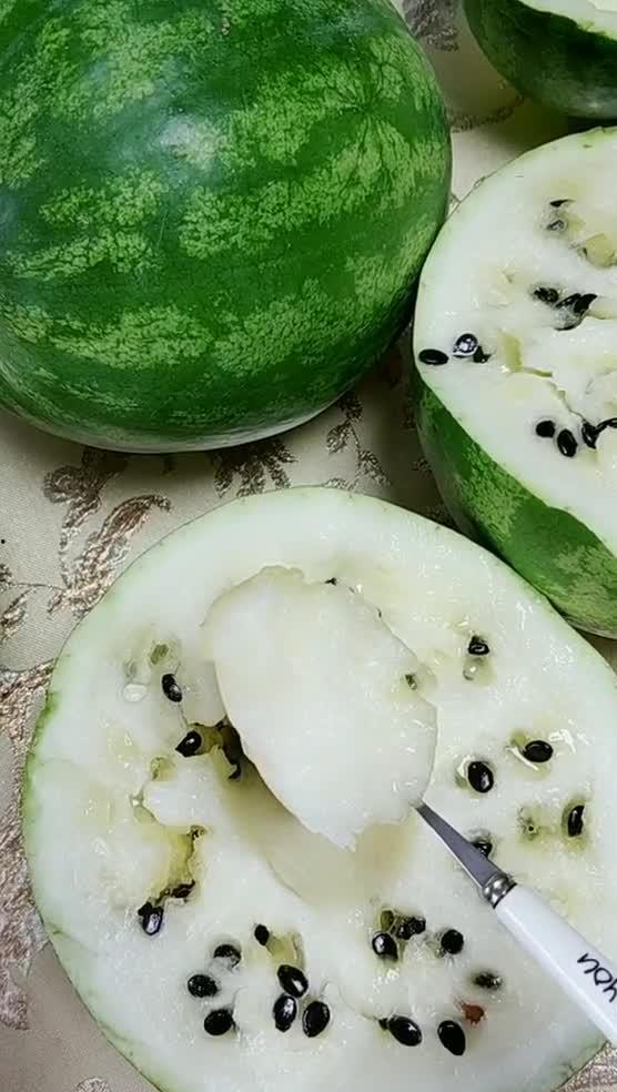 东北吃雪瓜视频大全